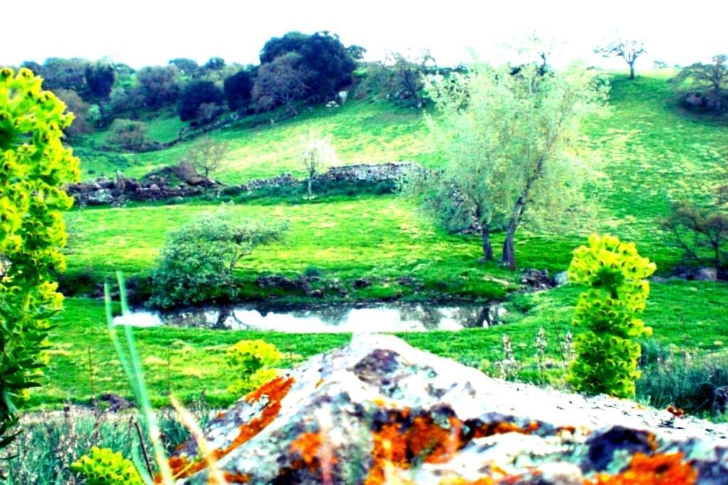 Agriturismo Pentuma Chiaramonti 외부 사진