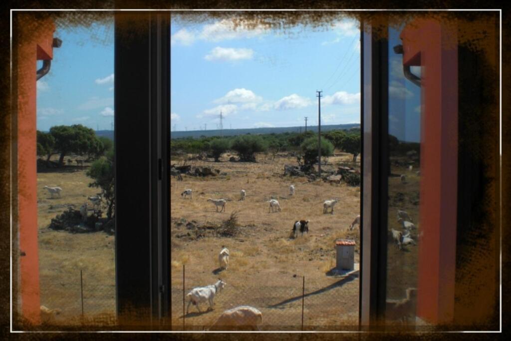 Agriturismo Pentuma Chiaramonti 객실 사진