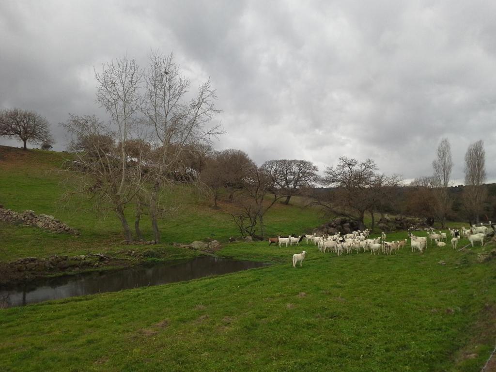 Agriturismo Pentuma Chiaramonti 외부 사진